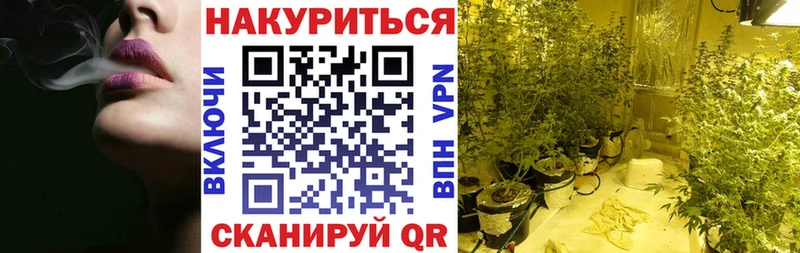 Где купить наркотики Новотитаровская Марихуана  Мефедрон  Кокаин  Alpha PVP  Гашиш 