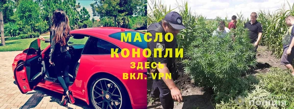 стаф Снежногорск