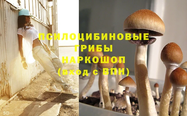 Альфа ПВП Балабаново