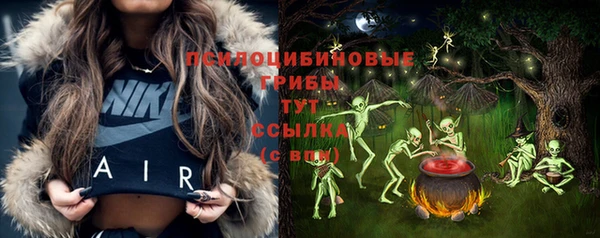 ГАЛЛЮЦИНОГЕННЫЕ ГРИБЫ Балахна