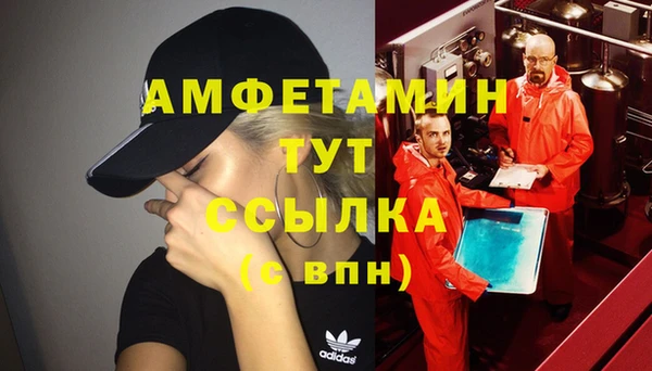 ГАЛЛЮЦИНОГЕННЫЕ ГРИБЫ Балахна