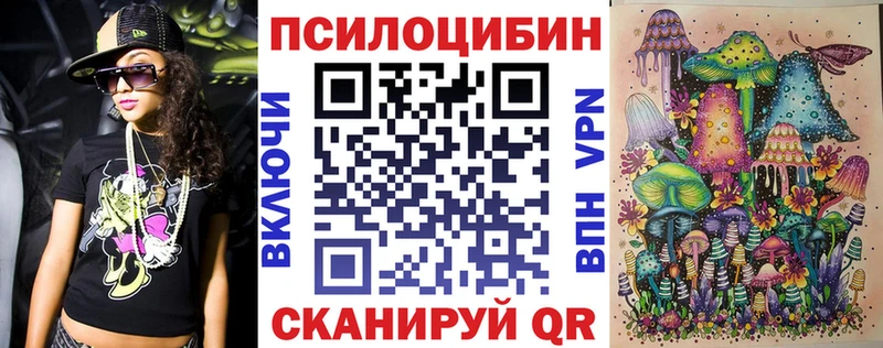 Псилоцибиновые грибы Psilocybe  Новотитаровская 