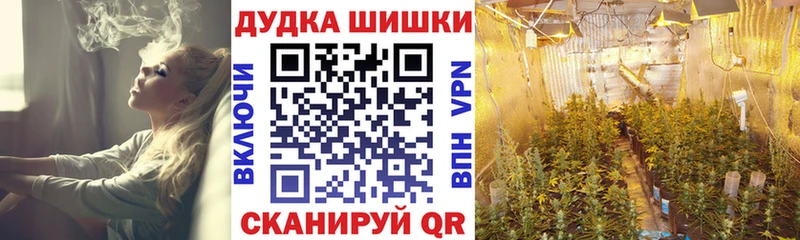 Шишки марихуана OG Kush  Новотитаровская 